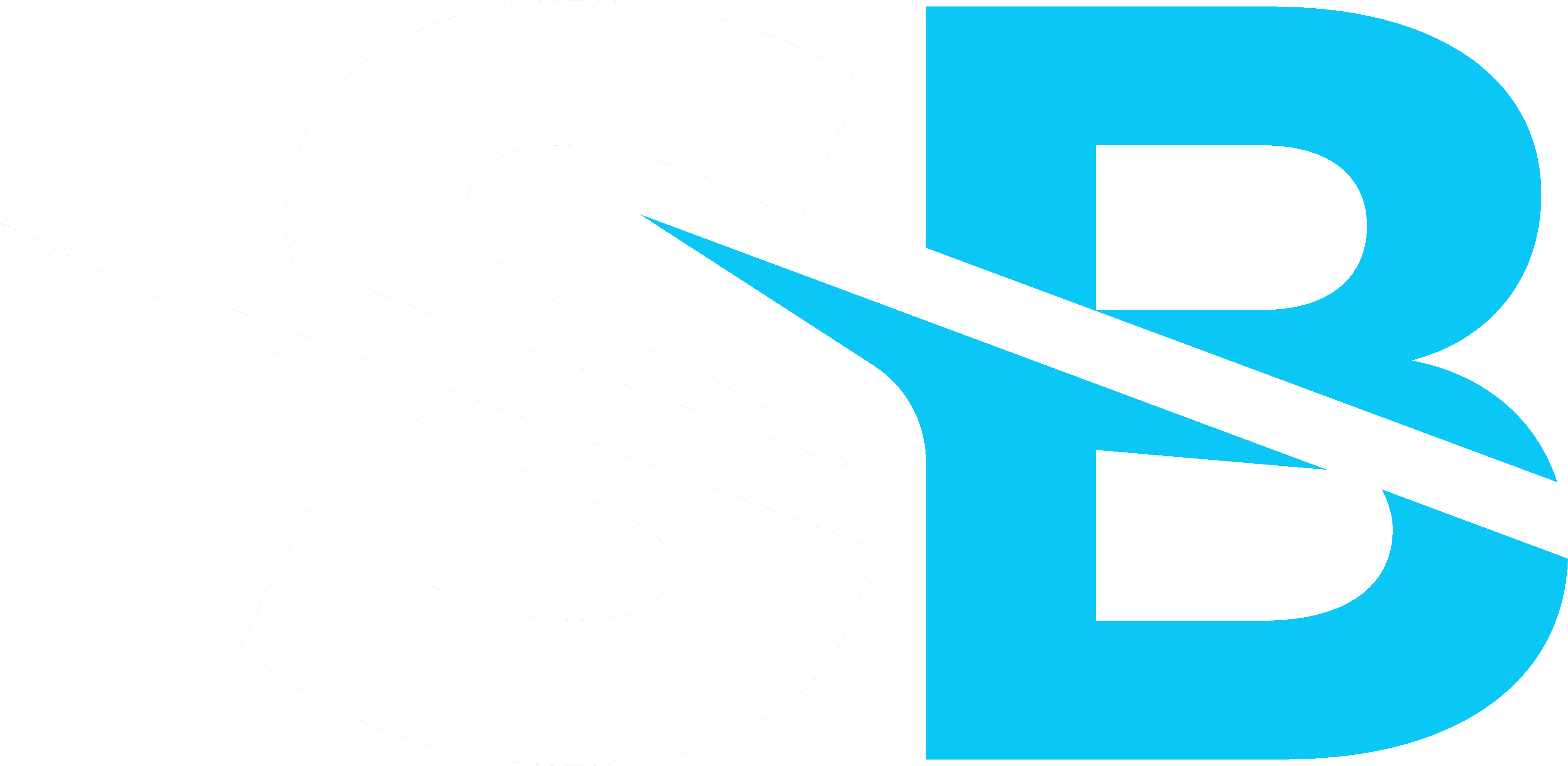 Small Business Web Designs logo icon