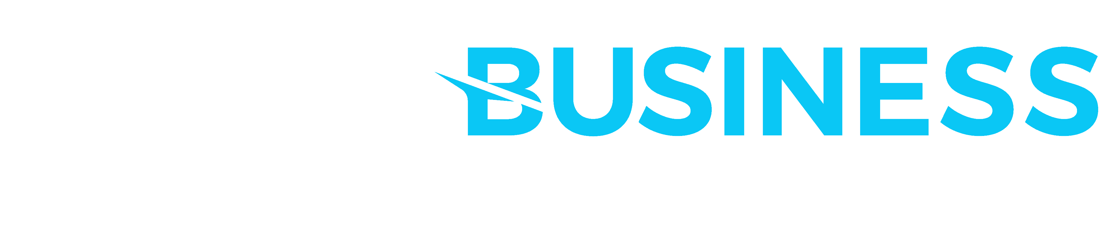 Small Business Web Designs logo